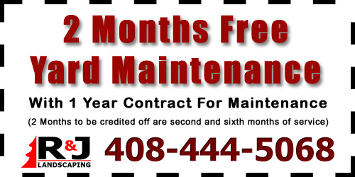 2 Months of Maintenance Free With 1 Year Maintenance Contract