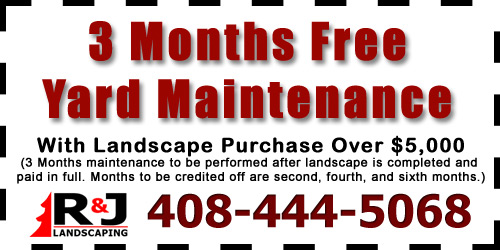 3 Months of Maintenance Free With Purchase of Landscape Over $5,000