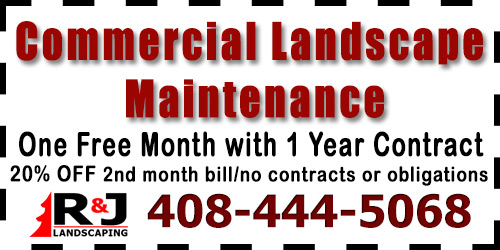 Commercial Landscape Maintenance one free month with 1 year contract