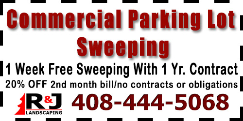 Commercial Parking Lot Sweeping Special