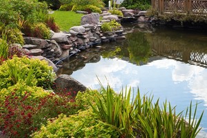 Morgan Hill Landscaping & Lawn Care