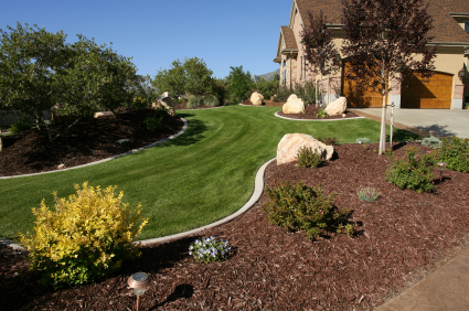 Bark Installation Services in San Jose and Silicon Valley