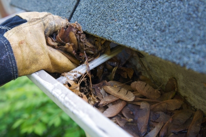 Gutter Cleaning Services in San Jose and Silicon Valley