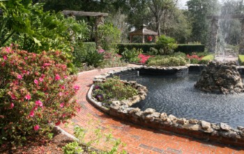 Landscape Design Services in San Jose and Silicon Valley