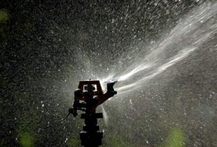 Irrigation Services in San Jose and Silicon Valley