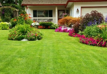 Lawn Care Services in San Jose and Silicon Valley