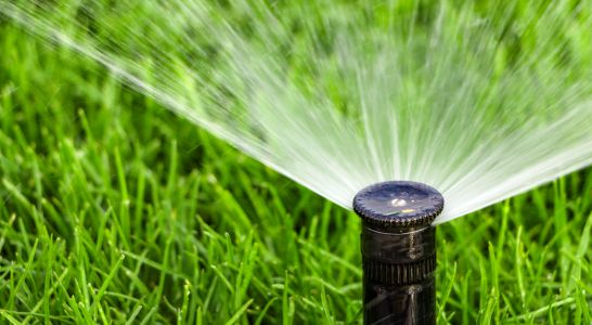 Modernizing San Jose Irrigation Systems: How to Reduce Water Waste in Silicon Valley Clay Soils