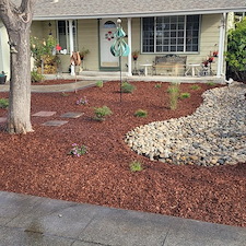 Beautiful-drought-friendly-landscaping-in-Santa-Clara-California 1