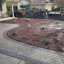 Beautiful-drought-friendly-landscaping-in-Santa-Clara-California 2