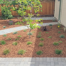 Charming-downtown-San-Jose-backyard-transformation 4