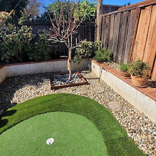 Top-Quality-Putting-green-in-Los-Gatos-California 2
